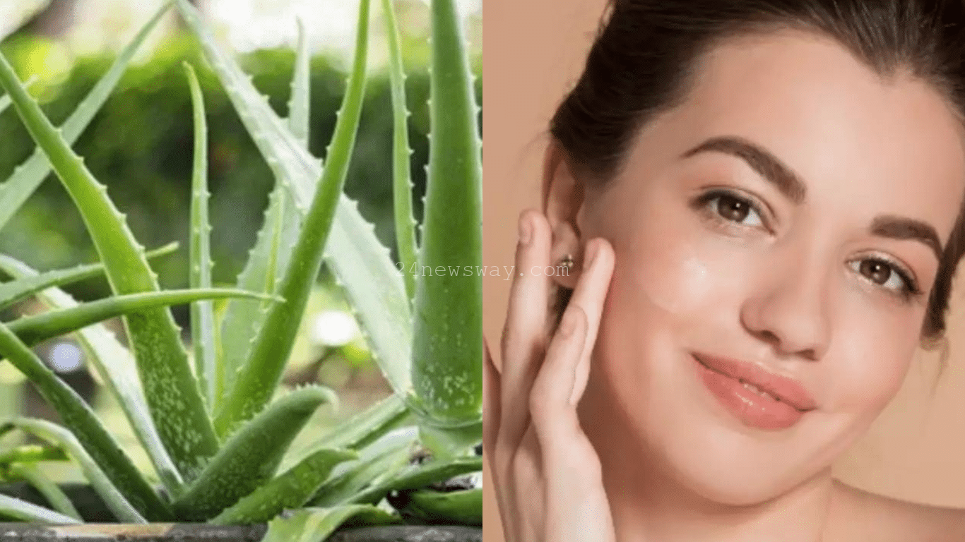 కలబంద మొక్క తో అందం ఆరోగ్యం