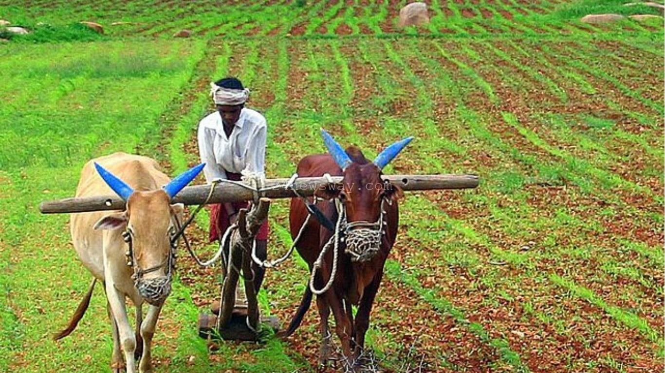 Telangana farmers Good news: క్వింటా వరికి 500 బోనస్