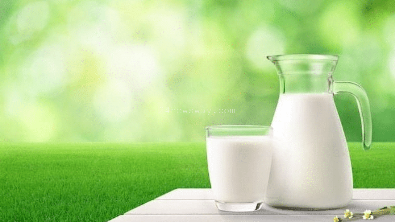 Any MILK in which cow's milk is good