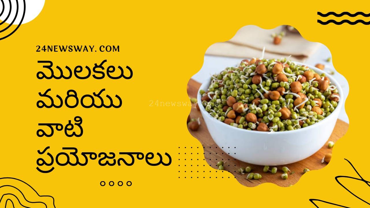 Benefits of eating sprouts