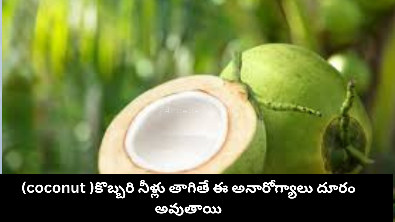 coconut