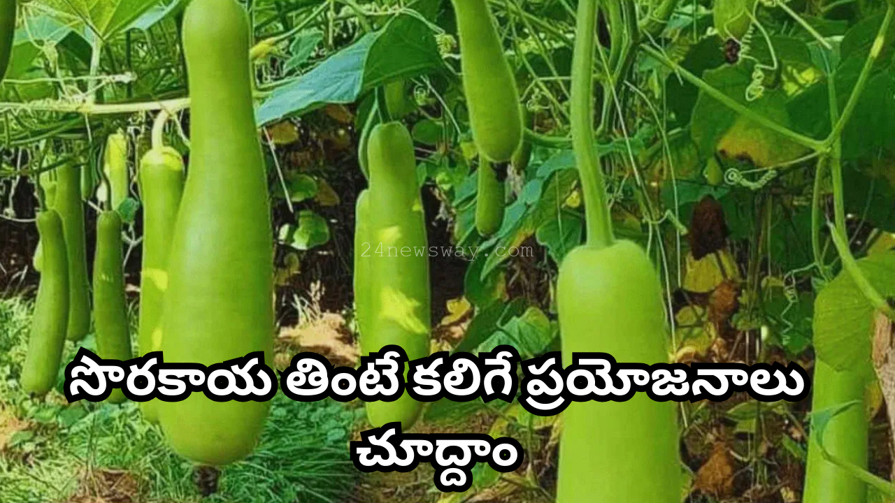 benefits of eating bottle gourd