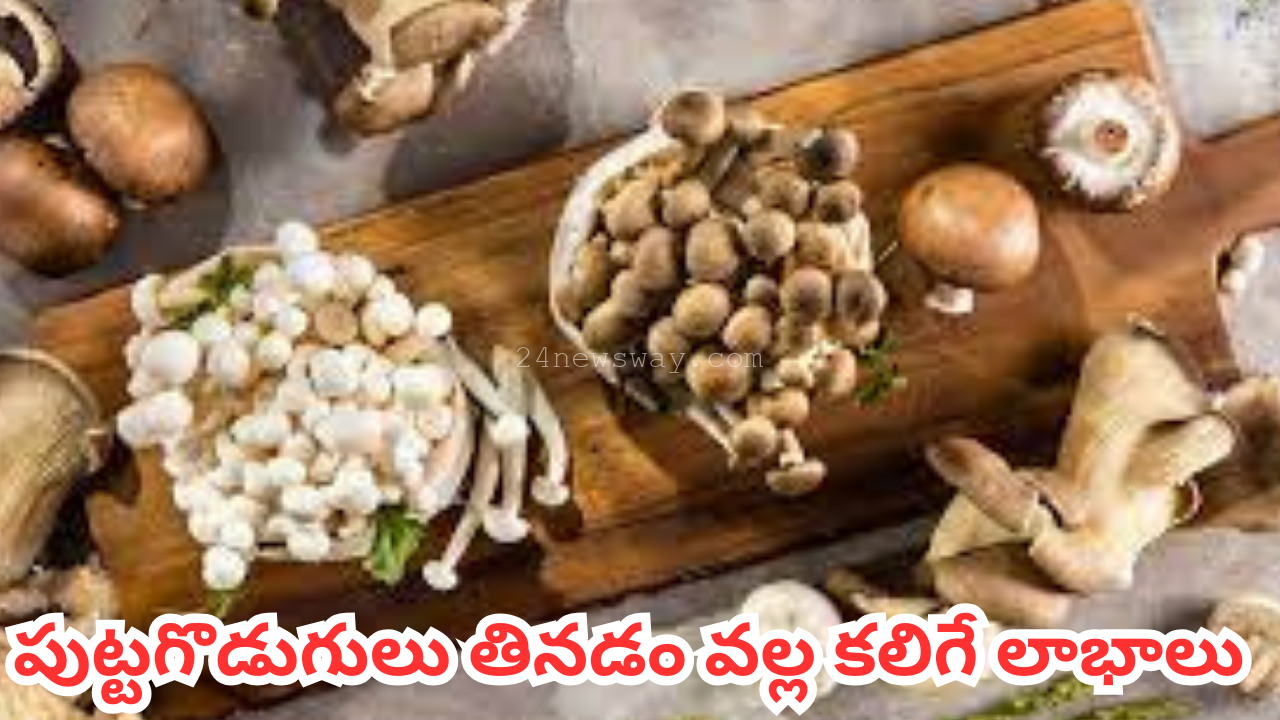 Benefits of eating mushrooms