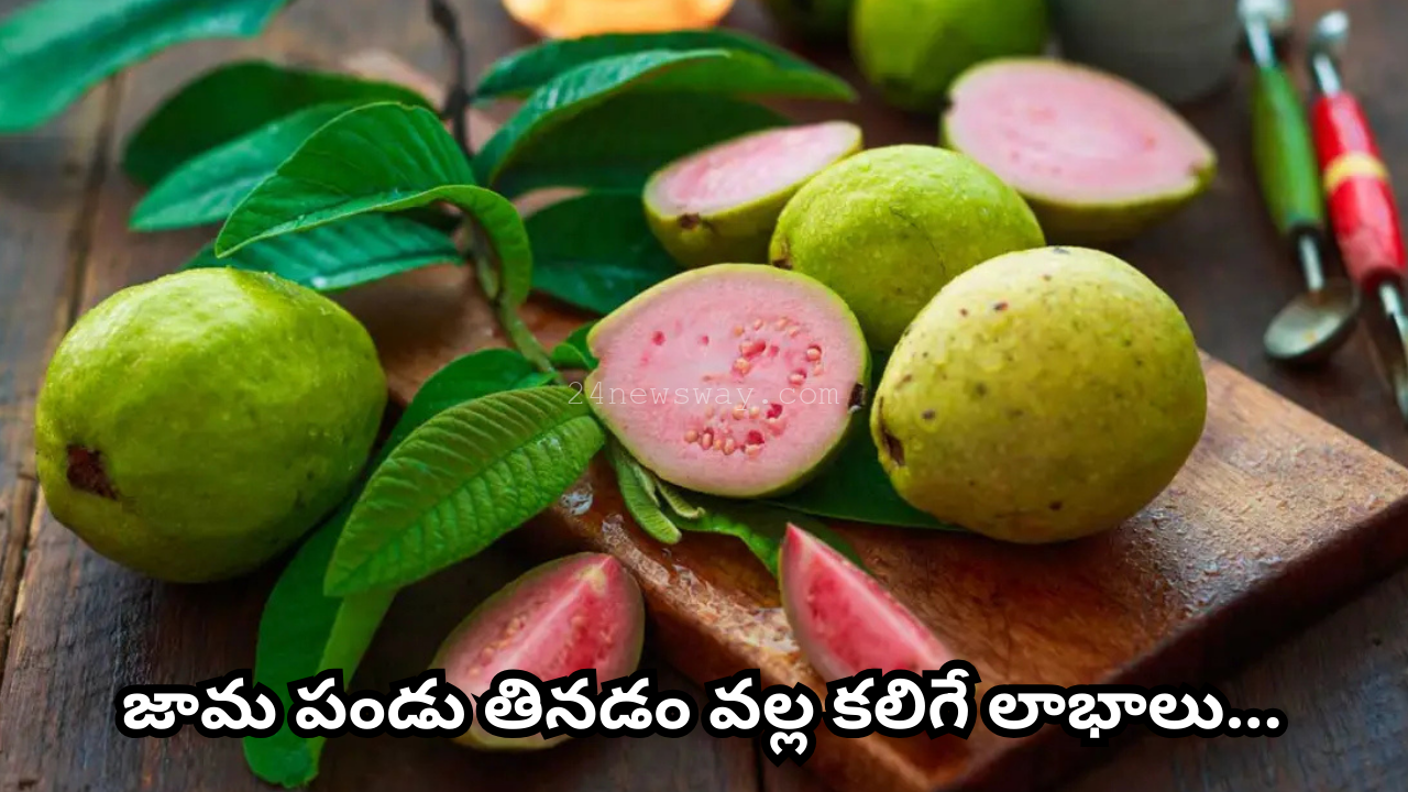 benefits of eating guava fruit