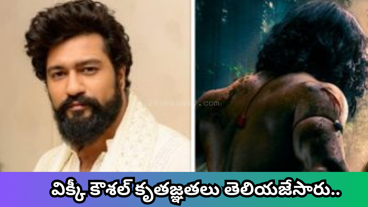 chhaava movie telugu version