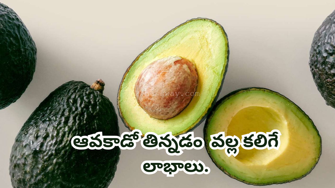 benefits of avocado fruit