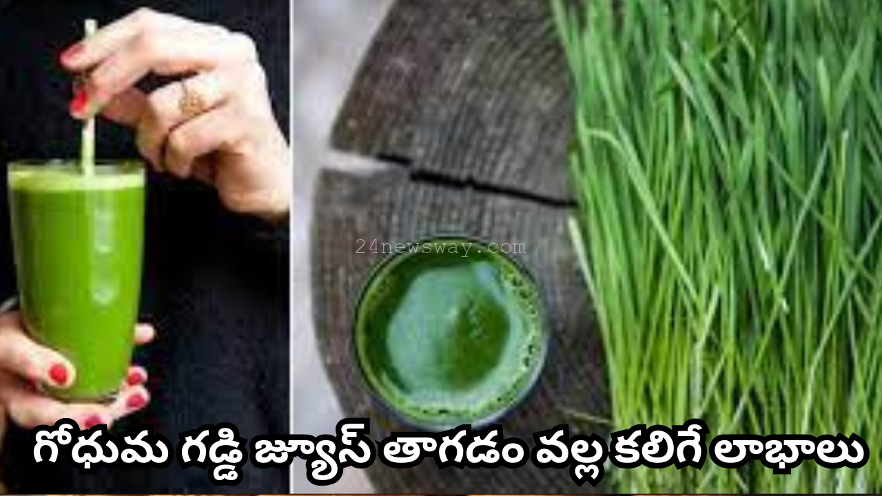 benefits of drinking wheatgrass juice