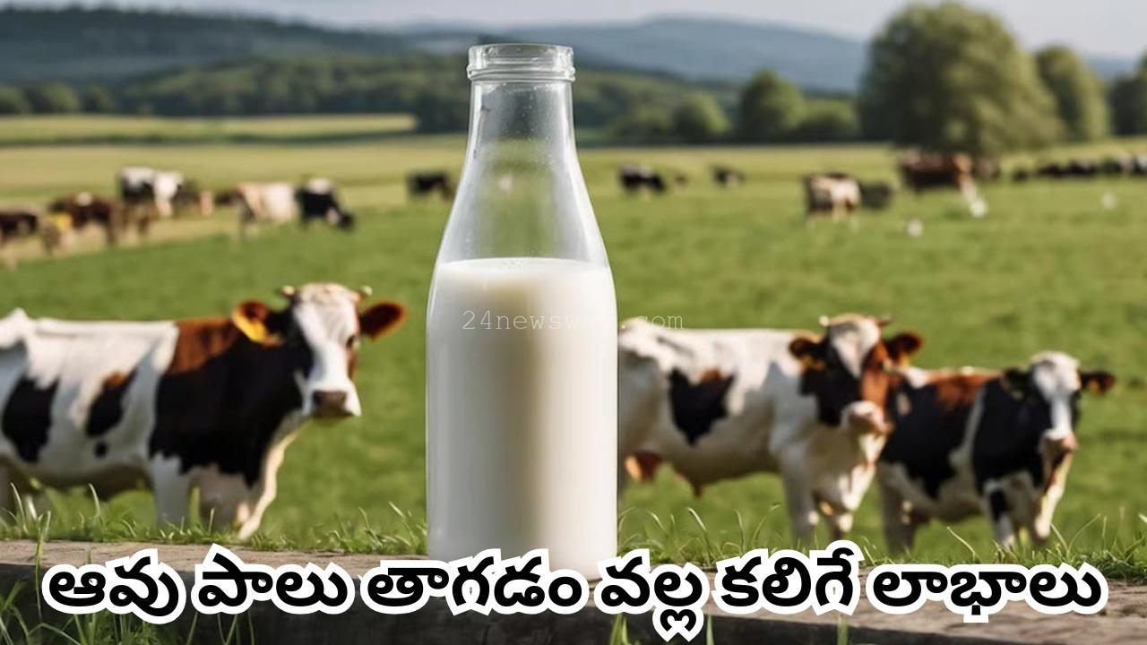 Benefits of drinking cow's milk