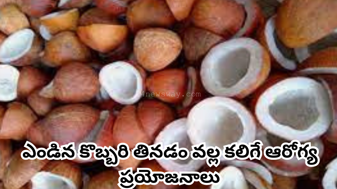 health benefits of eating dried coconut