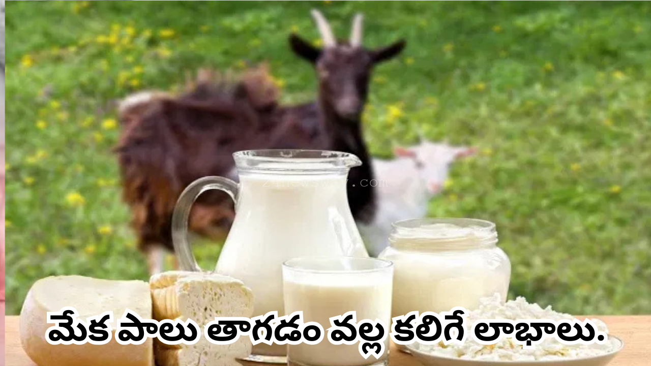 Benefits of drinking goat milk
