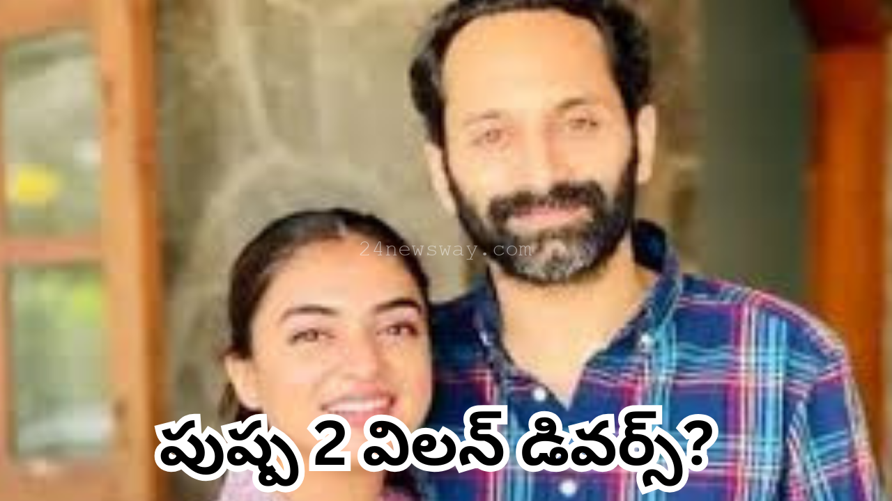 pushpa villain divorce