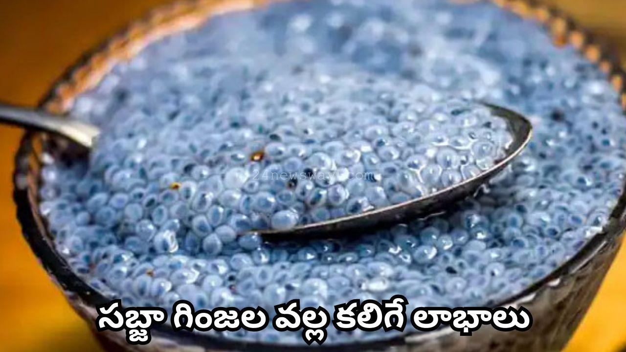 benefits of sabja seeds