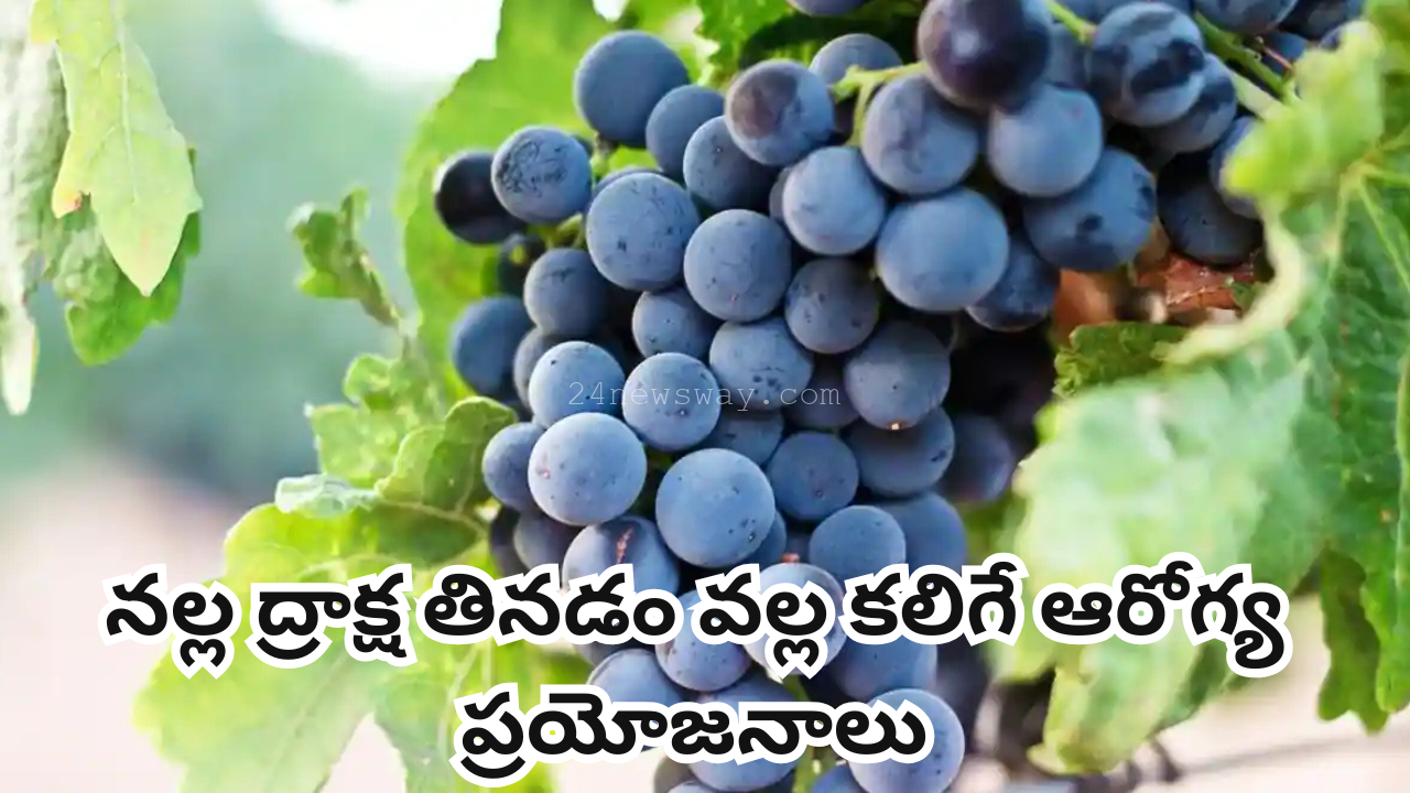 Health benefits of eating black grapes