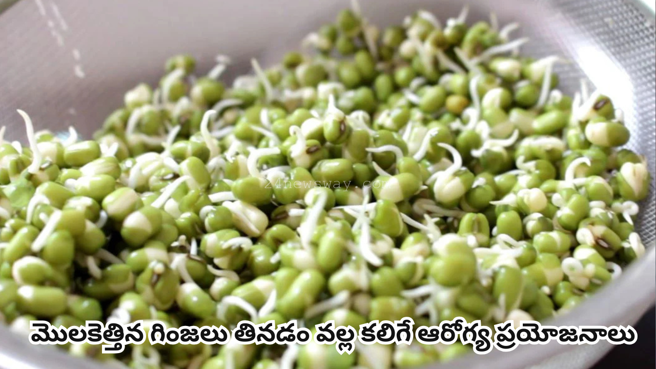 health benefits of sprouted grains