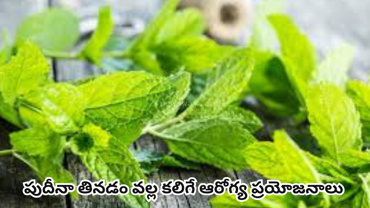 Health benefits of eating mint