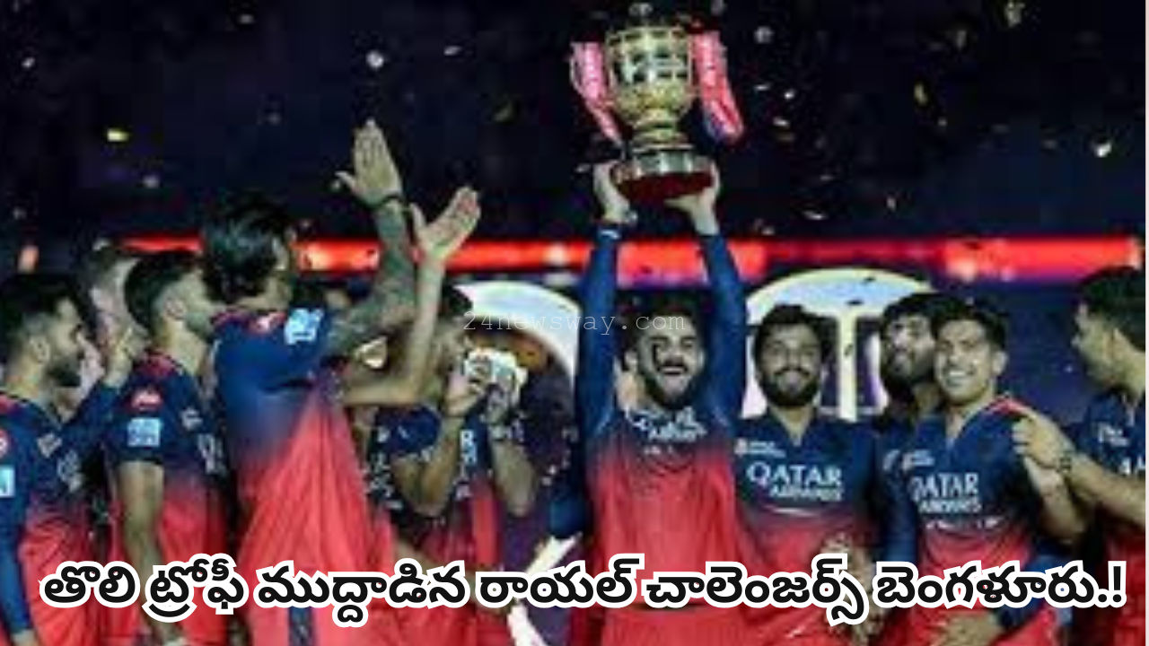 rcb win ipl 2025 final