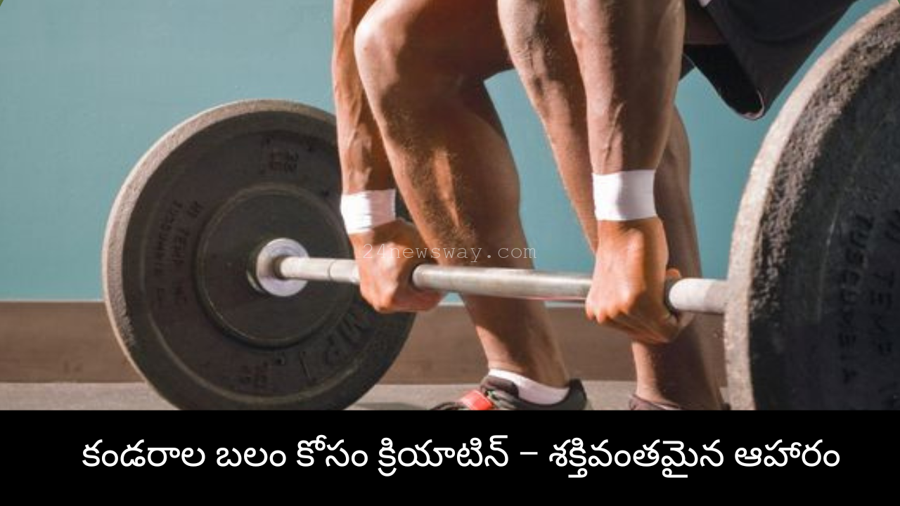 Creatine rich foods for muscle strength Best diet for muscle growth and endurance Carnitine and betaine foods for muscle health BCAAs for muscle recovery and strength Exercise and balanced diet for strong muscles