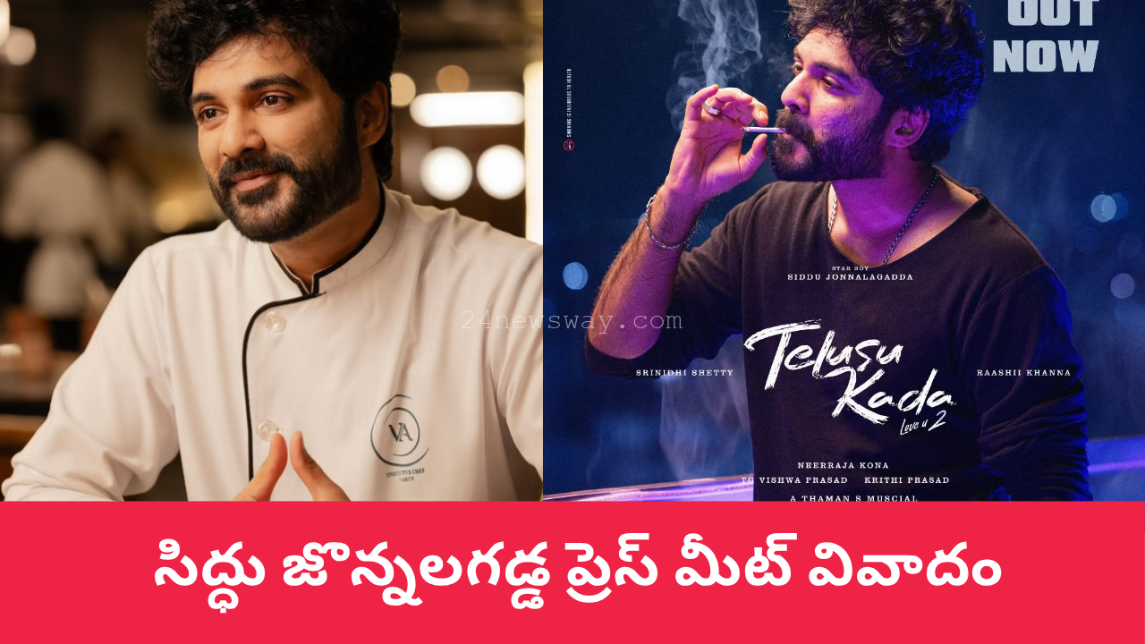 Siddu Jonnalagadda at Telusu Kada press meet