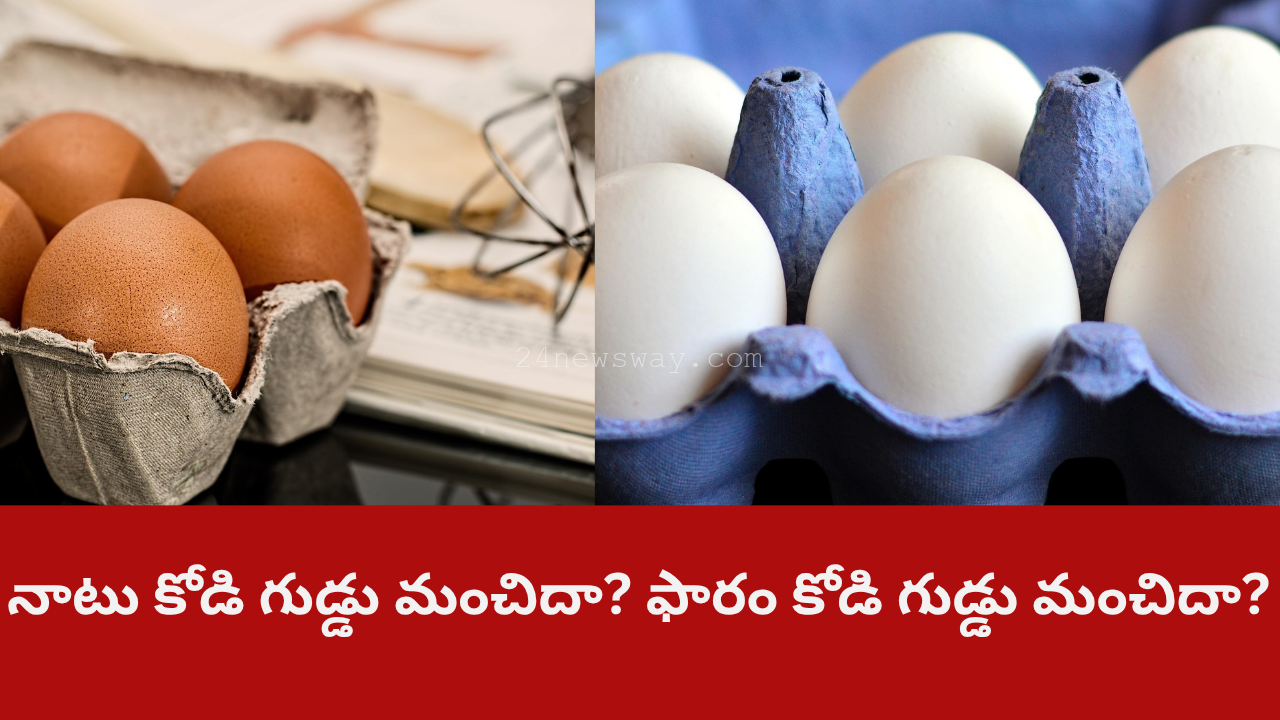 Boiled egg nutrition benefits for heart and brain 2025 Farm egg vs native egg comparison India Daily egg for weight loss and protein diet 2025 Healthy breakfast with boiled eggs and vegetables Women's health benefits from daily egg nutrition